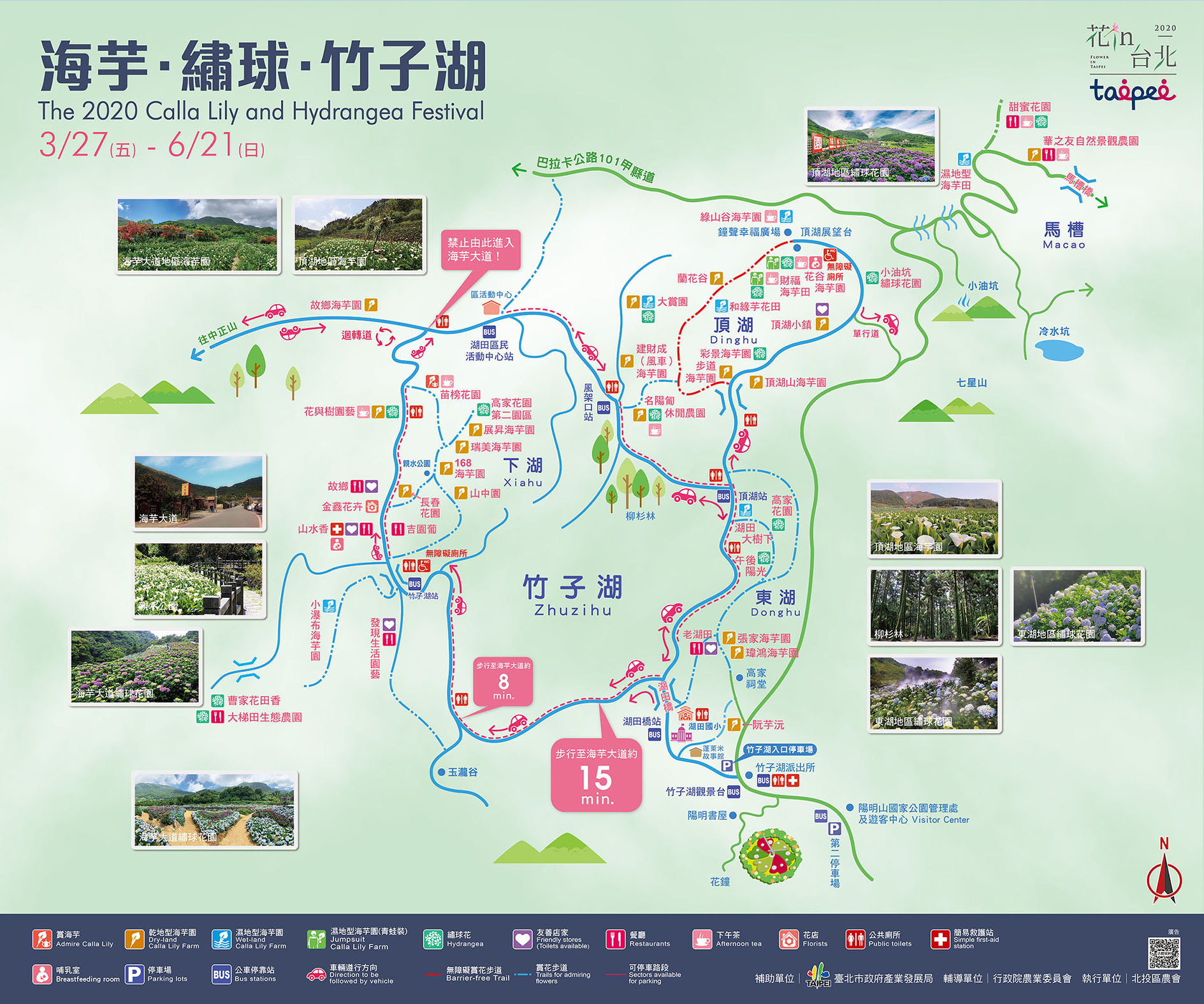 陽明山海芋繡球花竹子湖地圖2020