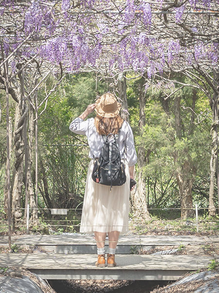 台灣花季遊 微笑娃生活旅行 冷娃一隊
