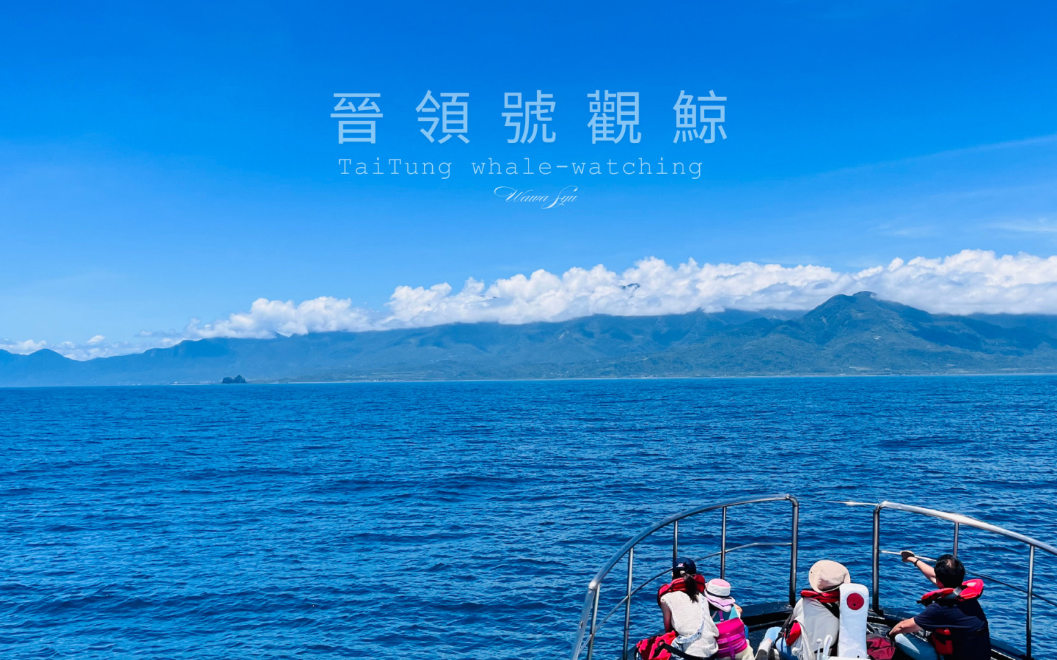 【台東景點推薦】晉領號賞鯨與旗遇海味：品味東海岸的海陸情緣