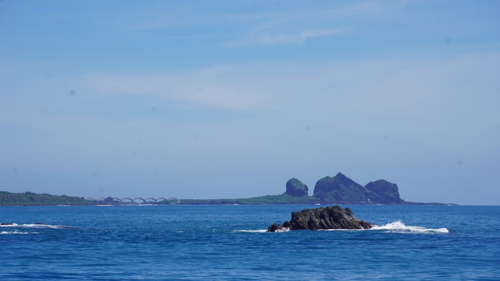 乘著太平洋的風出航：晉領號賞鯨，尋找海面上的微笑精靈