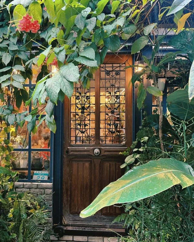 #為城市記憶備份 ___ No.5
台北信義 小青苑 Cyan Cafe
被植物包圍的咖啡屋，有點奇幻、有點寧靜，
還有一點久違的朋友氣味…。
·
其實這是一間我很早以前就去過的小咖啡館，
那時是跟朋友難得見面，一起坐在綠意環繞的玻璃窗邊聊天。
我一直沒寫下來，但今天翻到照片，卻覺得那些片段——
怎麼可以就這樣被忘記呢。
·
小青苑像是藏在城市巷弄裡的小小魔法屋，
門口被植物佔滿，木門後是迷人的燈光和櫥窗，
推開門那一刻，我記得我真的有點驚喜：
裡面不只有咖啡香，還有好多奇妙的玩具、收藏、甚至怪獸模型。
·
我不太記得那天點了什麼甜點或飲品，
但我記得朋友的笑聲、植物的影子灑在窗上的樣子，
還有我們好像什麼都沒做，卻待了一個下午的安靜。
·
有些地方不是驚豔，而是留下了一種「可以放心坐著」的感覺。
這，就是我對小青苑最深的印象。
·
也許這不是一篇咖啡廳推薦文，
而是想記下我心裡那個小角落，
曾經被這樣一間綠意包圍的小屋子安放過的時光。
·
這就是「為城市記憶備份」的意義吧。
不是為了打卡而記錄，
而是為了記得自己曾經被某處好好對待過。
·
小青苑 Cyan Cafe 店家資訊 Info.
🏠 地址：台北市信義區忠孝東路四段553巷20弄2號
⏰ 營業時間：12:00～20:00（週二公休）
📖 特色：充滿綠意與收藏的小宇宙咖啡館，氣氛寧靜溫柔，是城市中一塊讓人能慢下來的角落。
·
#為城市記憶備份 #微笑娃的城市微電影
#小青苑 #台北咖啡廳 #城市裡的秘密花園
#藏在植物裡的咖啡屋 #生活溫柔角落
#SavingTheSoulOfTheCity #微笑娃生活旅行 #微笑娃 
@carollinya66